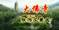 我把无毛美女日出水了唐伯虎全国探花中国浙江-新昌大佛寺旅游风景区